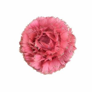 PLUMA DE 8X8X8 ROSADO AÑEJO
