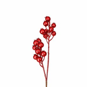 BERRY