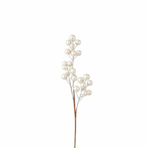 BERRY CREMA